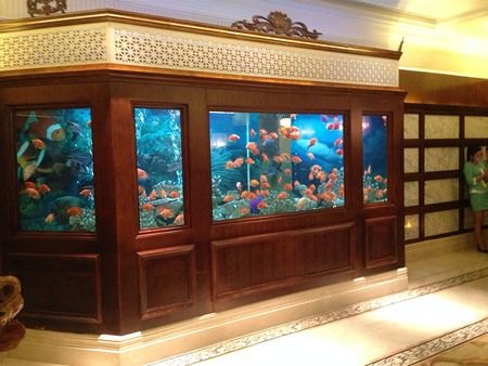 【供应】杭州大型鱼缸定做 杭州酒店海鲜池定做 家