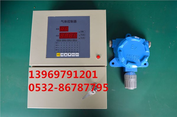DX-1201/1202/1203氨气检测仪