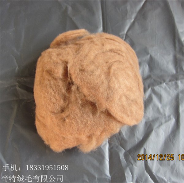 脱脂驼绒，驼毛，羊绒，免费拿样