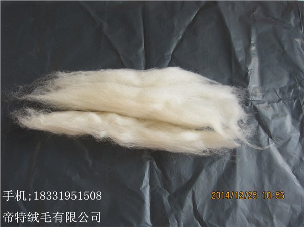 供应，羊绒毛条，36-66支，免费拿样