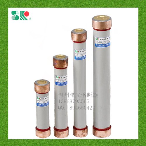 厂家直销RN1-6/2-25A户内高压限流熔断器