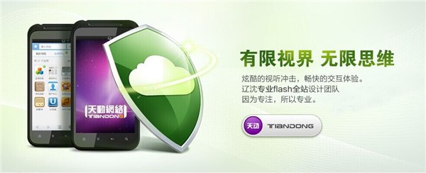 保定网站策划