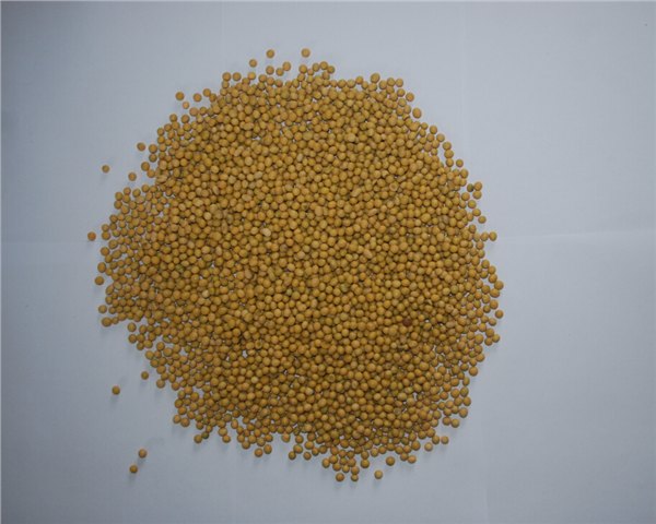 【膨化大豆、膨化大豆价格】青州瑞源贸易