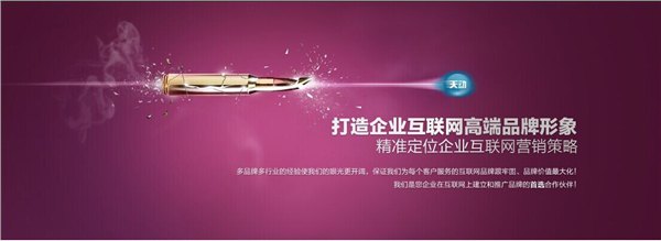 保定网站优化