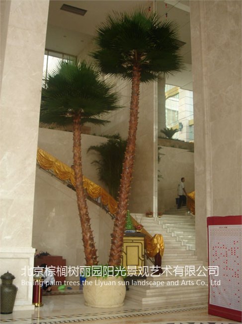 仿真植物厂家