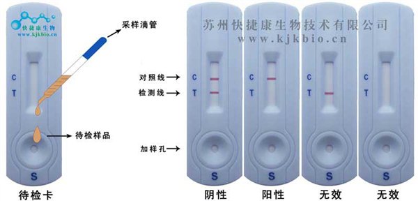 呋喃唑酮检测卡