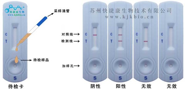禽流感抗体检测卡-通用型