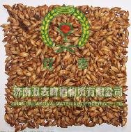 山东哪里有卖咖啡麦芽的？