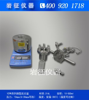 厂家定制250ml微型高压反应釜