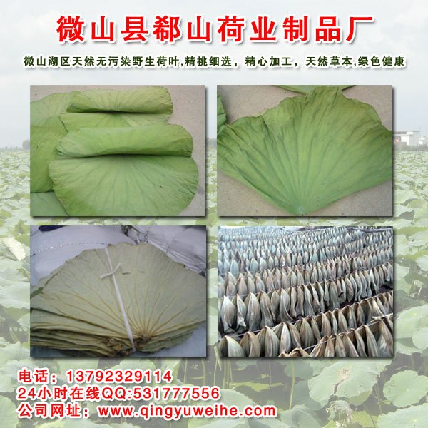 2014年新货出售整张干荷叶量大优惠