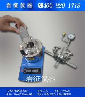 荆州微型高压反应釜