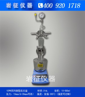 厂家定制100ml微型高压反应釜
