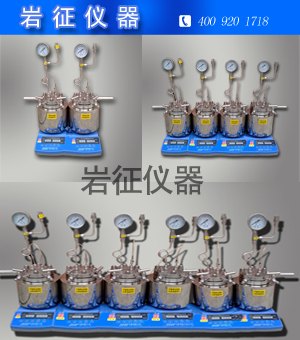 250ml多功能平行反应釜
