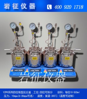 定制100ml多功能平行反应釜
