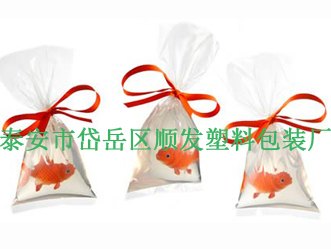 泰安鱼袋子厂家【火热供应】