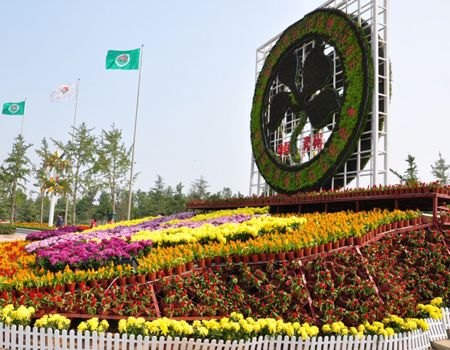 五色草造型租摆//五色草供应-花灯园艺造型【李珊