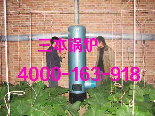 花卉大棚供暖锅炉