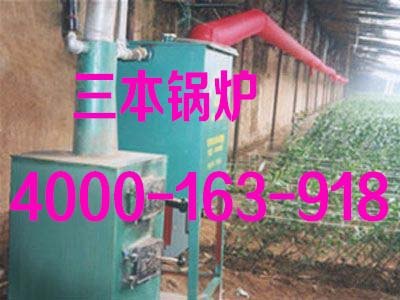 大棚供暖锅炉  养殖大棚供暖锅炉