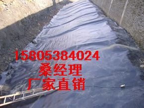 供应人工湿地防渗膜+抗老化防渗膜+蓄水池防渗膜