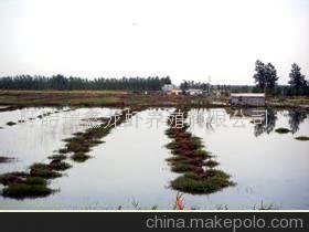 最好的水蛭养殖围网都去哪了？河北厂家铭湾质量高价
