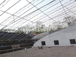 畜牧温室大棚建设 山东畜牧温室大棚建设 畜牧温室