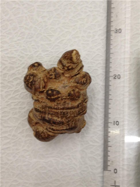 最具有口碑的生物粉碎服务商_坚和粉碎技术公司
