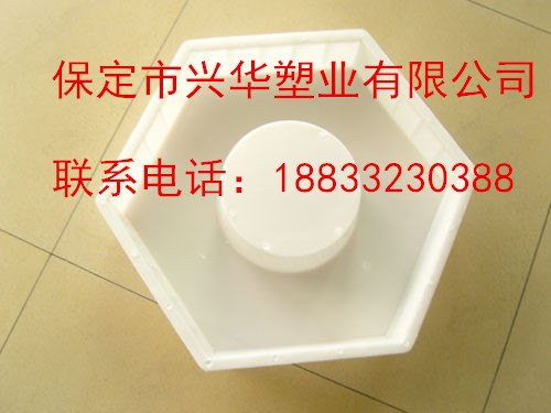高速空心六角护坡模具