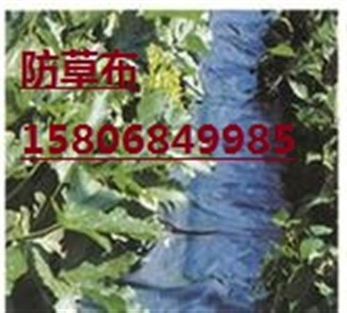 庐州防草布_山东防草布厂家_黑色防草布