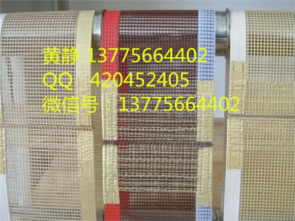 纺织印染网带  牢固式包边 接头  铁氟龙网带?? 特氟龙网带