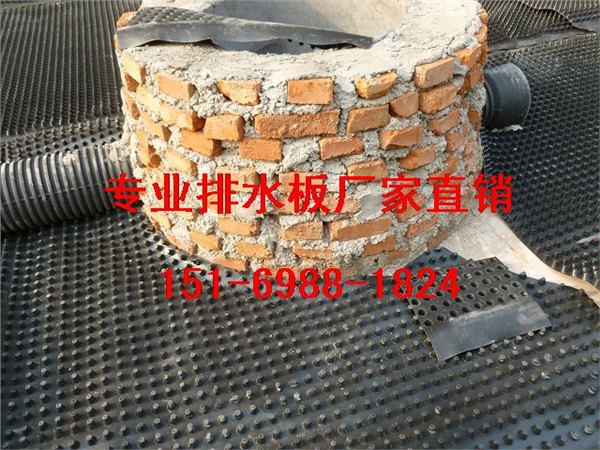 生产福建%宁德车库绿化排水板土工网格