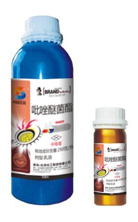25%吡唑醚菌酯 香蕉黑星病专用药 叶斑病特效药