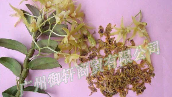 养殖场直销紫皮石斛 紫皮枫斗