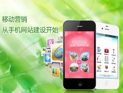 泰安诺盾营销型手#机#网站直销批发