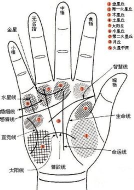 泰安称心的婚姻预测公司推荐