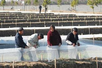 顾客比较信赖的河北厂家铭湾生产的水蛭养殖网箱，价