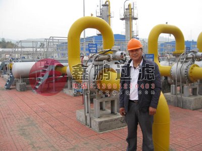XP天然气过滤分离器