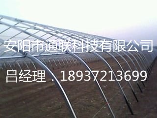 养殖大棚建设价格/塑料大棚建设价格
