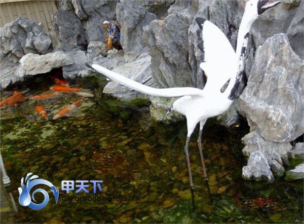 武汉市锦鲤鱼池水专业处理！
