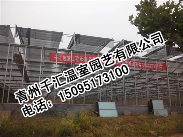 连栋温室大棚当选千汇温室园艺
