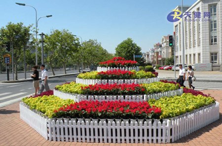 郑州花卉租赁报价|郑州办公室租花【晨曦花卉】
