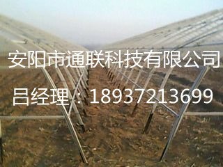 新型钢架大棚建造 农业钢架大棚造价
