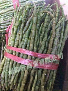 养殖场销售铁皮石斛 老条铁皮鲜条