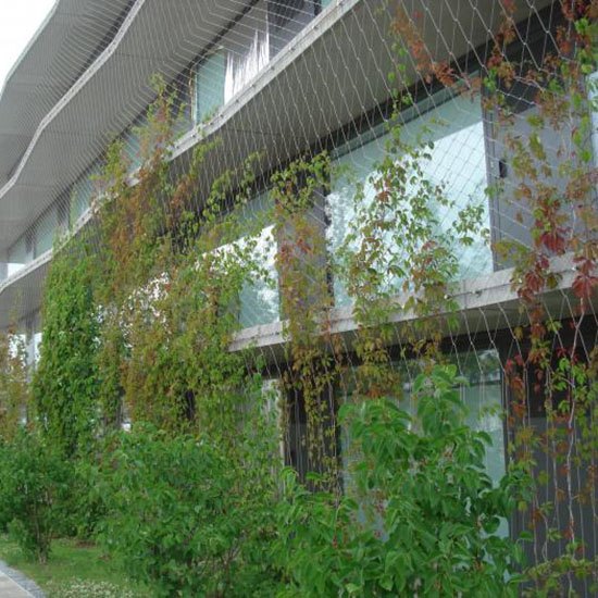 现代化种植用什么支架