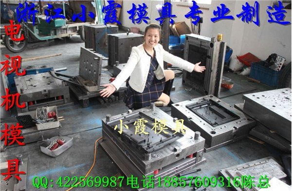 浙江塑胶模具22寸电视机模具