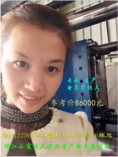 塑料模16表位塑料电表箱模具