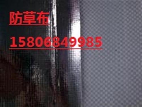 德州保美赵经理_沧州黑色编织布_填海造田专用黑色编织布