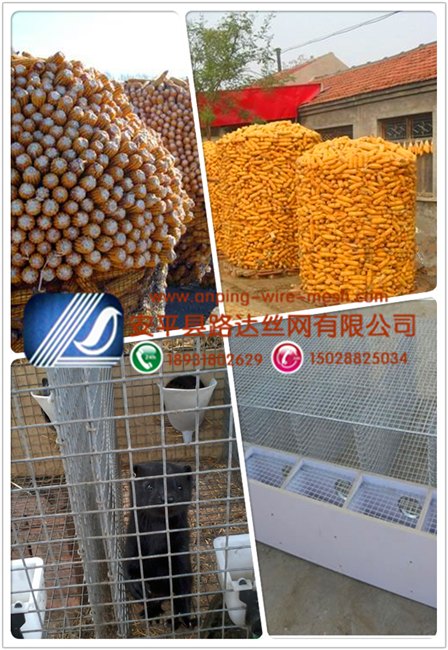 镀锌网不生锈围网养殖网防鼠笼子养鸡宠物笼