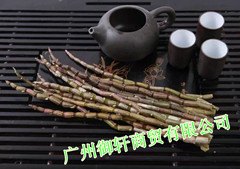 基地直销铁皮石斛鲜条