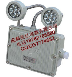 BAJ52防爆应急灯，CBJ52防爆应急灯，防爆双头应急灯