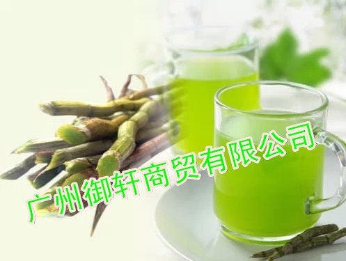 批发浙江品种的铁皮石斛鲜条
